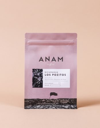 Nicaragua - Los Pozitos ***NEW HARVEST***